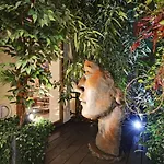 Saint Andre Des Arts Heart Of Paris Design